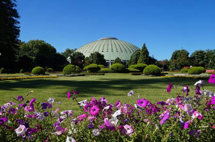 Crystal Palace Gardens